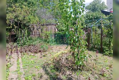 CASĂ + TEREN 565 MP – STRADA MOVILEI - 13