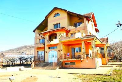 Vanzare Vila spactaculoasa cu teren generos in Targoviste - Aninoasa. - 2