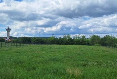 Teren intravilan 3100 m2 Cristian, Sibiu - 1