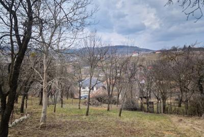 Casa la tara, la 30 min de Cluj – renovata, livada pe rod si teren 1000 mp - 7