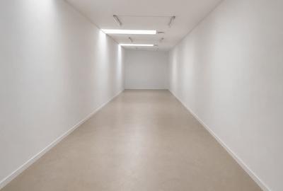 Spatiu comercial de inchiriat in Oradea, zona Decebal - 5
