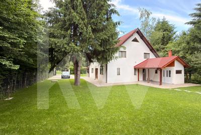 Vila de poveste din Valea Avrigului de vanzare - 19