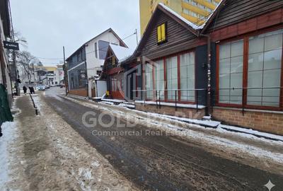 Spatiu Comercial - Piezisa - Trafic intens - Alimentatie Publica - 3