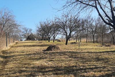 Teren de vanzare in Turda - 1