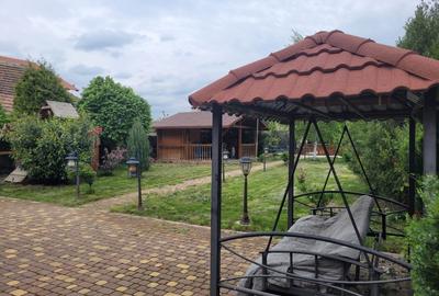 Oază de liniște cu "parc" privat în vatra satului - 2