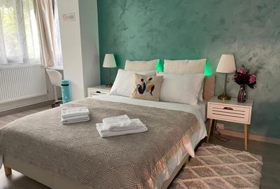 Apartament 2 camere semidecomandat City Park Mall - 2