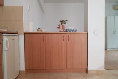 Vanzare garsoniera la curte, Stefan cel Mare Tunari, parter inalt, 65000 euro - 8