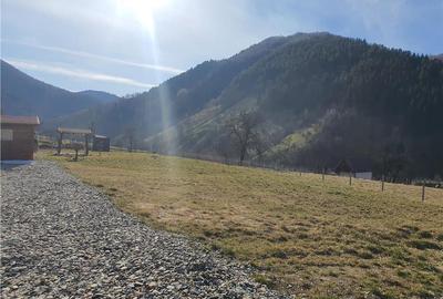 Vindem urgent 1035mp teren intravilan in Rau Sadului ,  SIBIU - 25