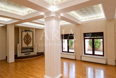VANZARE VILA | HALA IN VLADICEASCA | SNAGOV | 10.500 MP TEREN - 3