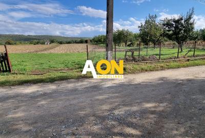 Teren Construcții intravilan de 4003 mp, în Periferie