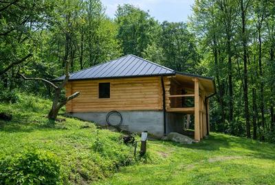 3.000mp de incantare montana cu cabana din lemn masiv, Zarnesti Tohanita - 12