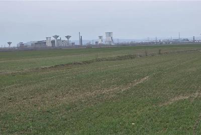 Teren extravilan 7.900 mp de vanzare zona Parapet Targoviște - 4