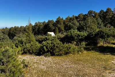 Teren Construcții intravilan de 600 mp, în Purcăreni