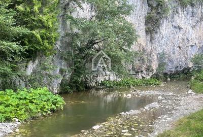 Teren Investiție Turistică Dâmbovicioara Baranga | 4.500 mp - 22