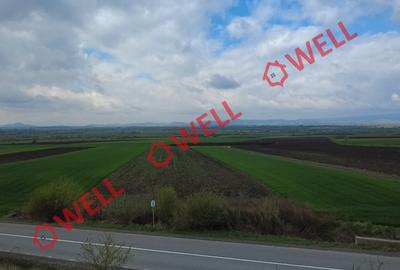 Teren intravilan de vânzare în Bicfalău! - 5