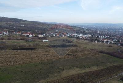 Teren 19.375 mp Dâmbu Rotund. Potențial rezidențial. Extravilan - 11