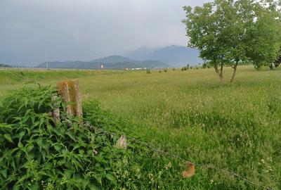 Teren intravilan Rasnov - 7