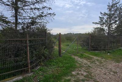 LIVADA  DE VANZARE FOCSANI-DUMBRAVITA  1,8  HA - 7