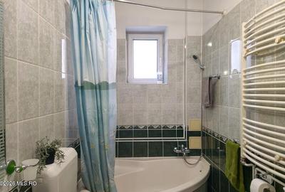 Lunei - Ion Neculce, 2 Apartamente. Mansarda 157 mp. Anexe, Lot 475 mp - 31