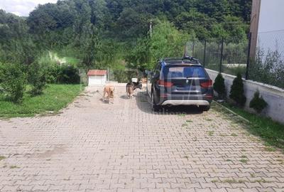 Casa 4 camere de vanzare in Salicea - 7