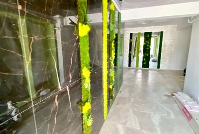 Apartamente 1-2 camere cash/credit/rate dezvoltator , Bucium-Visan - 14