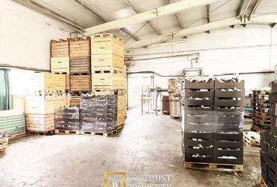 Hala industrială de vanzare Arad 540 mp, depozitare la rece, acces TIR - 7