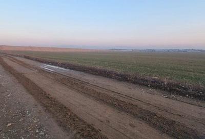 Teren intravilan 5000 mp de vânzare   Cheiul Dâmboviței apropiere A2 - 8
