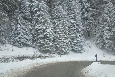 Se vinde teren 900 mp/25 ml toate utilitatile, Predeal laga Cabana Trei Brazi - 7