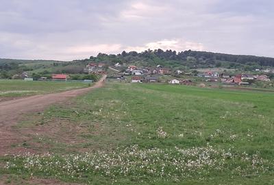 Parcele intravilan (590mp) cu PUZ, Panoramă frumoasă, 5 km de la Sfântu Gheorghe - 5