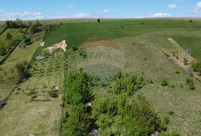 Teren intravilan 2307 mp în Salicea, zona premium, aproape de Cluj - 9