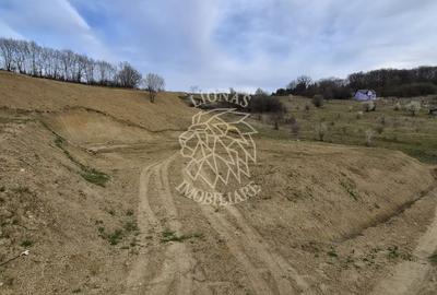 Oferta 9 parcele teren - pretabil casa de vacanta- 5 min de centru ! - 1