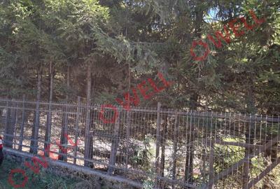 De vânzare un teren intravilan de 2.149 m² în Sovata, pe strada Vânătorilor - 8