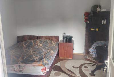 Casa  + Teren 4000 mp Urseiu - Dâmbovița 0% COMISION - 13