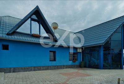 Proprietate industrială cu vizibilitate DN13 – Hală, birouri și teren 6.250 mp - 4