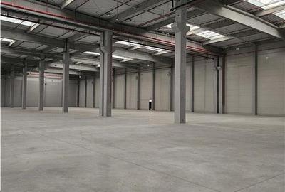 Spatiu Industrial - 6400 mp - Logistica - Depozitare - Distributie - 3