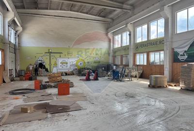 Spațiu industrial 450mp, acces direct din centura, ocupabil imediat - 3
