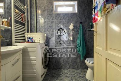 Casa Freidorf Timisoara - 5