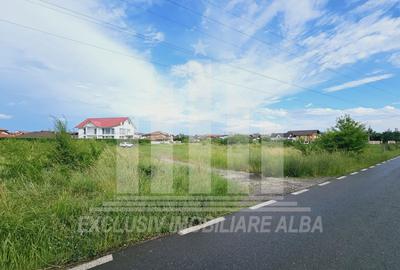 Teren intravilan | De vanzare | 5998 mp | 55 ml deschidere | Cetate - 1