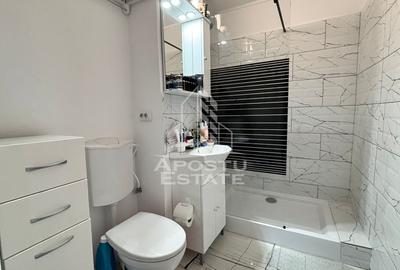 Apartament cu 2 camere de vanzare in zona Sagului, Timisoara - 10