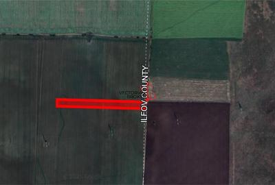 Teren extravilan 12.167 mp in Branesti, Ilfov, deschidere 27 m - 3