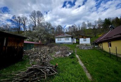 Teren 711mp Hangu / DN GROZAVESTI - 2