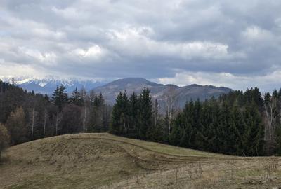 Teren intravilan construibil Brasov Bran  Poarta utilitati vedere spre munti - 2