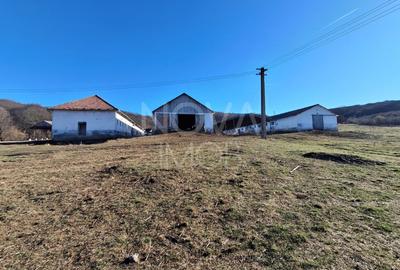 Ferma complet echipata de vanzare – zona Agnita, judetul Sibiu - 4