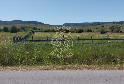 Teren 700 mp cu utilitati-panoramic-Livezile - 1