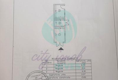 Vilă în Cotroceni | Curte proprie | Gradina Botanică-Palat-Carol Davilla - 13