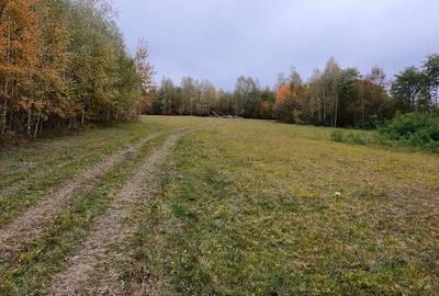 Teren extravilan, zona manastirii Sinca Noua 2652 mp - 7
