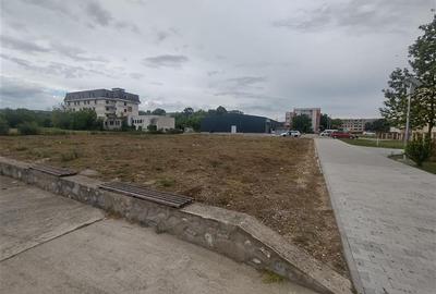 Moldova Noua, Teren Drept Intravilan 1628 Mp., pe malul Dunarii, Vanzare sau Inc - 4