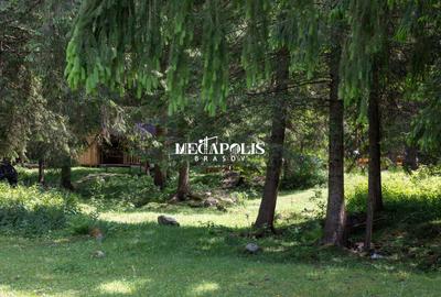 Teren intravilan | Moieciu de Sus | 12307 | PUZ - 7