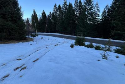 Teren 989 mp pentru investitie majora in Predeal | Deschidere la soseaua princip - 1