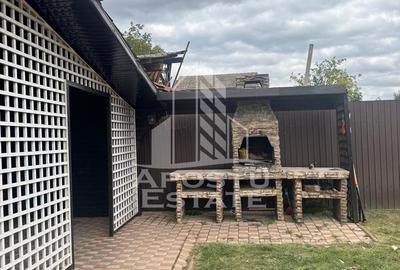 Casa 4 camere de inchiriat, prima inchiriere, comuna Sag, Timis - 9